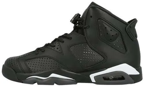 Air Jordan 6 Black Cat