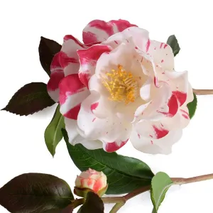 Camellia Stem, 24" L