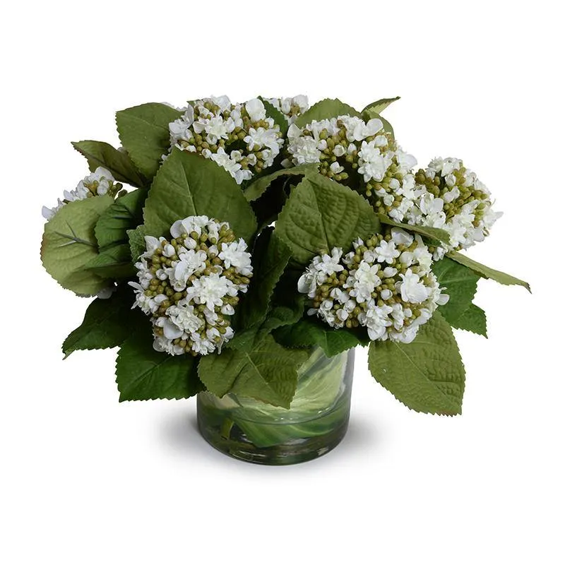 Hydrangea Bud Bouquet in Leaf Lined Glass 12"H