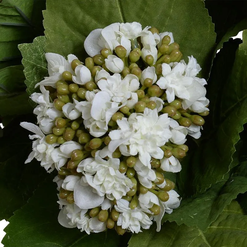 Hydrangea Bud Bouquet in Leaf Lined Glass 12"H