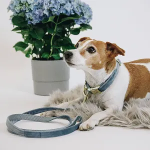 Kentucky Dogwear Velvet Dog Lead - Light Blue