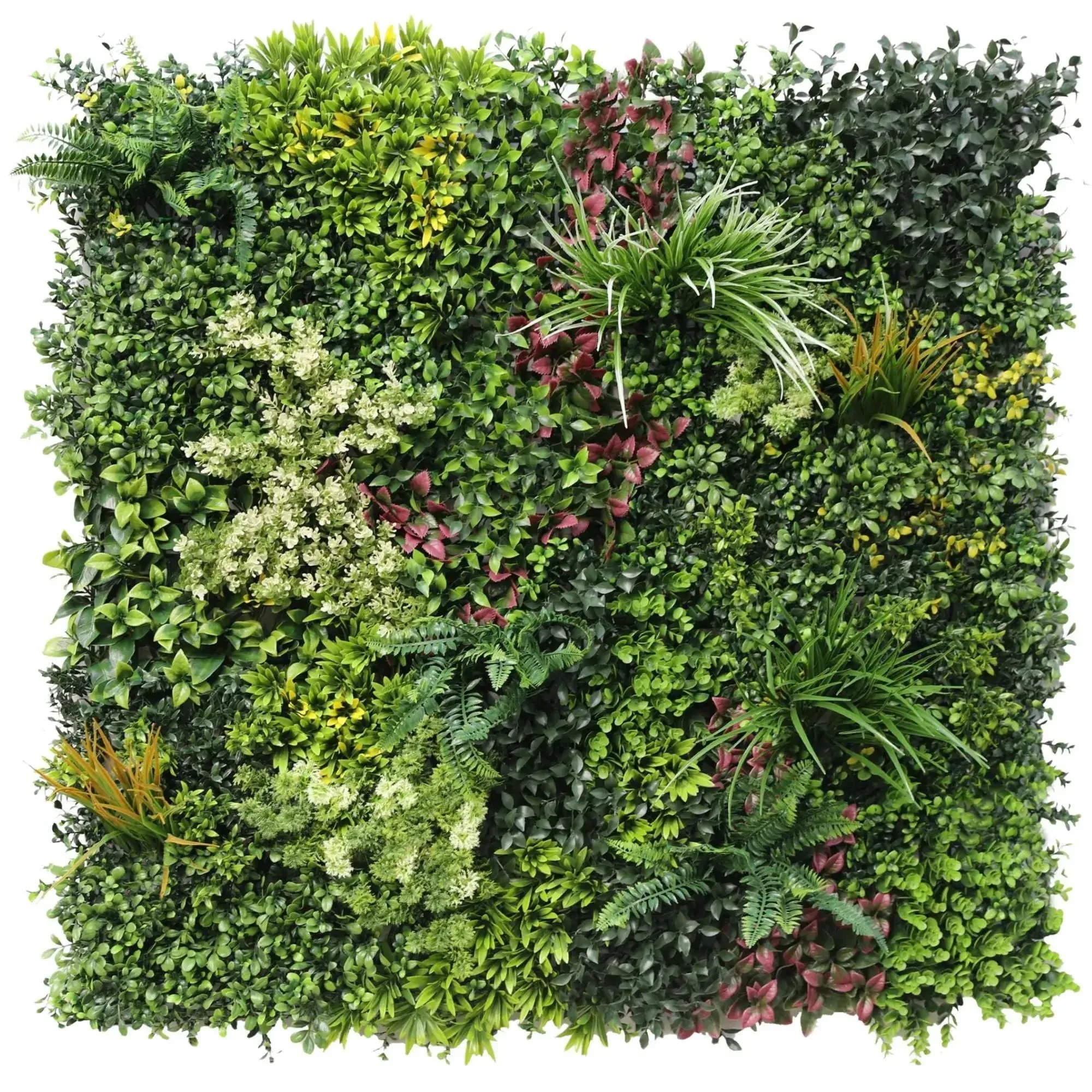 Luxury Triptych Vertical Garden / Living Wall Set 3 Of Pieces 1m X 1m (3 SQM Set) UV Resistant